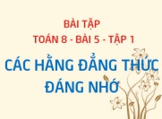 Bài tập vận dụng hằng đẳng thức: Tổng hai lập phương, hiệu hai lập phương - Toán 8 bài 5 tập 1